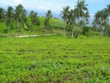 Land for sale in Poblacion, Camiguin