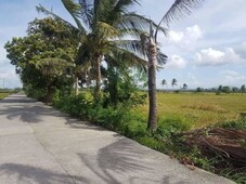 LOT FOR SALE CAVITE