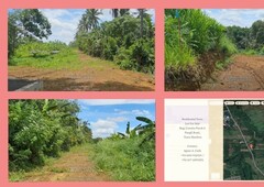 Residential Lot For Sale in Trece Martires / Brgy Conchu