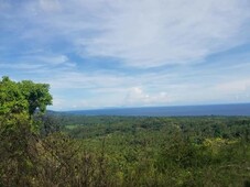 Seaview/mountain view land for sale