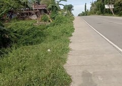 Titled 960sqM along the national highway @ 1500/sqM!!!