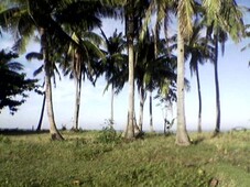 Beach Lot & Rice Field for Sale For Sale Philippines