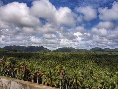 Affordable 5.7 hectares land for Sale in Siargao