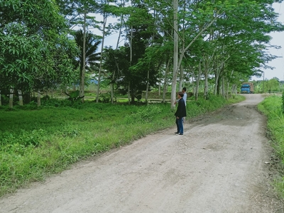 Butuan City Tagabaca Farm Lot