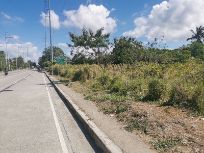 tagaytay-amadeo commercial lot for sale