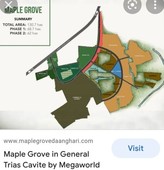 FOR SALE COMMERCIAL LOTS MAPLE GROVE CAVITE