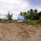 Lot for sale in Carcar