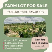 Rush Sale! Farm Lot FOR SALE at Tagluno, Toril, Davao City