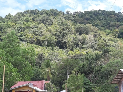 Commercial land El Nido, Palawan For Sale Philippines
