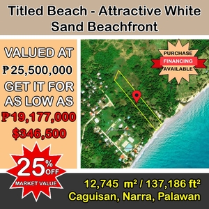 Plot of land Narra For Sale Philippines