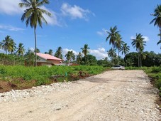 Subdivided lot in Laguindingan Misamis oriental Philippines