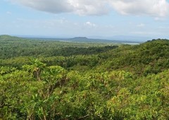 Mountain Lot Top View