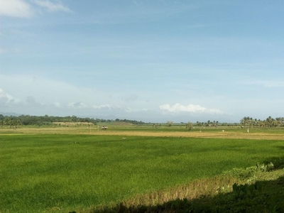 92,812 Sqm Agriculture For Sale In Amlan (ayuquitan)