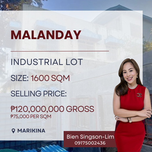 Lot For Sale In Malanday, Marikina