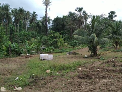 Lot For Sale In Balanacan, Unisan