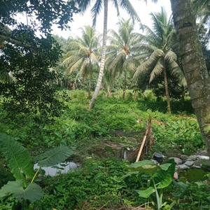 Lot For Sale In Pagalungan, Polomolok