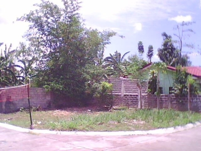 Lot For Sale In San Agustin, Alaminos