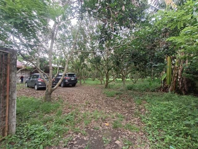 Lot For Sale In San Crispin, San Pablo