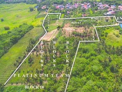 Lot For Sale In Toledo, Silang