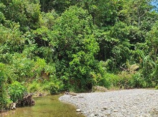 50, 000 sqm or 5Hectares Resort for Sale in Capoocan, Leyte