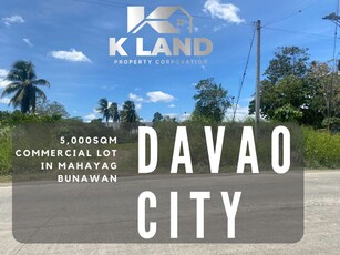 House For Sale In Mahayag, Davao