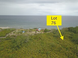 Lot For Sale In Banilad, Bacong