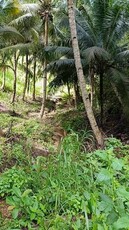 Lot For Sale In Cambayog, Compostela