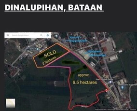 Lot For Sale In Dinalupihan, Bataan