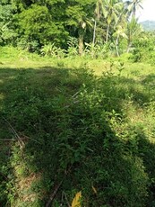 Lot For Sale In Guinacot, Danao