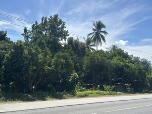 Lot For Sale In Lacson, Davao