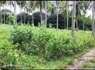 Lot For Sale In Maayongtubig, Dauin