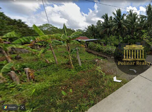 Lot For Sale In San Isidro, Tagum