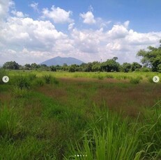 Lot For Sale In Sapang Biabas, Mabalacat