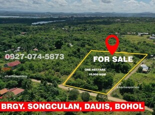 Lot For Sale In Songculan, Dauis