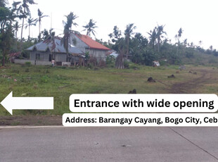 Plot of land Bogo For Sale Philippines