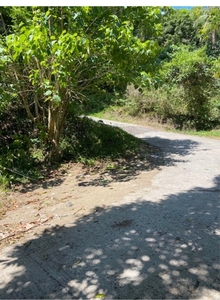 1 Hectare lot in Sto Domingo Conde Batangas City for sale on Carousell