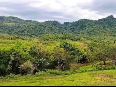 126 Hectares Magallanes Cavite Lot for Sale on Carousell