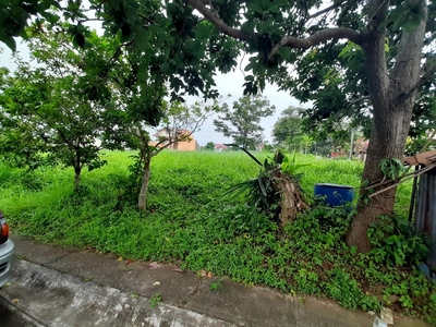 165 sqm Residential Lot for sale in Metrogate Estates in Silang