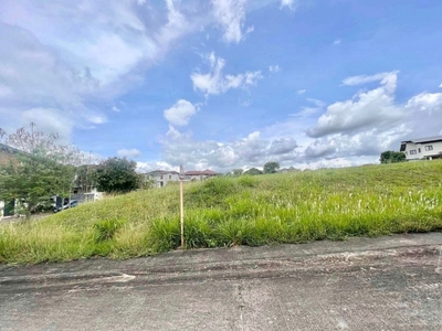 2 Adjacent Lots FOR SALE in Ayala Southvale Primera on Carousell