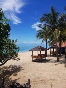 200 sqm. Lot For Sale w/ Exclusive Beach Access at Laiya Batangas on Carousell