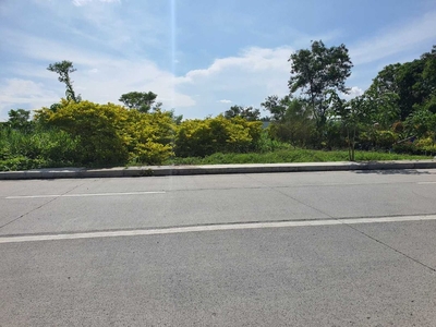 2.1 hectare Lot For Sale near Ayala Evo City Kawit Cavite on Carousell
