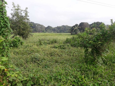 2.1 hectares Raw Land For Sale in Rodriguez Burgos (Montalban) Rizal on Carousell