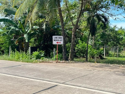 2500 per sqm.nlng
Lot for Sale‼️‼️‼️
Along National highway
Walking distance sa dagat
Location Cang-oyao Bitoon