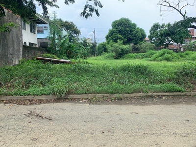 294 sqm Lot for sale Brookside Hills Cainta Rizal on Carousell