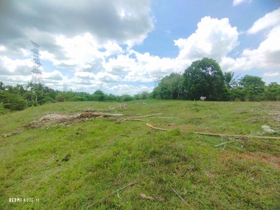 300 Sqm Farm Lot for Sale in Esperanza Ibaba Alfonso! ALL IN! Transfer of Title Included! on Carousell