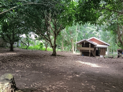 3700sqm. LOT FOR SALE NEAR HIWAY INDANG CAVITE on Carousell