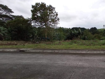 466sqm Lot for SALE! at Forest Hills Antipolo Rizal on Carousell