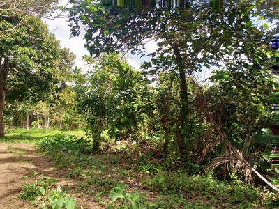500 sqm lot for sale in Cavite near the road with fruit bearing trees on Carousell