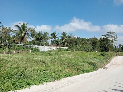 Agricultural Farm lot for sale - for residential and for investment on Carousell