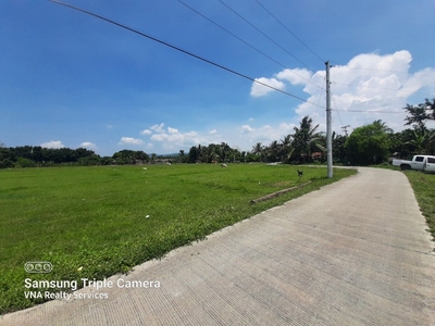 Farm Lots For Sale! Agricultural Land For Sale At Rosario